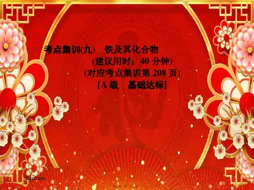 高考化学一轮总复习考点集训(九)铁及其化合物课件