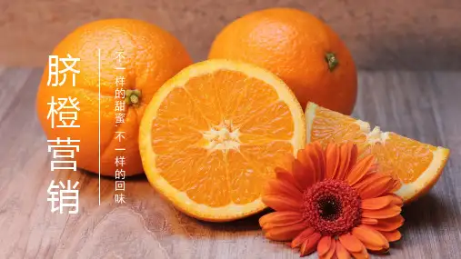 橙子营销策划宣传推广PPT模板