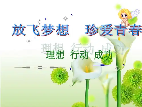 放飞梦想珍爱青春精品PPT课件