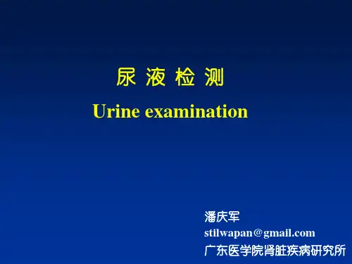 尿液检测(诊断学)