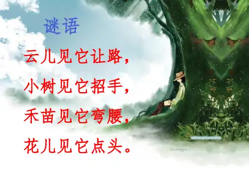 二年级美术《风来了》ppt课件
