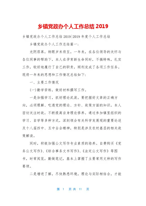 乡镇党政办个人工作总结2019_1