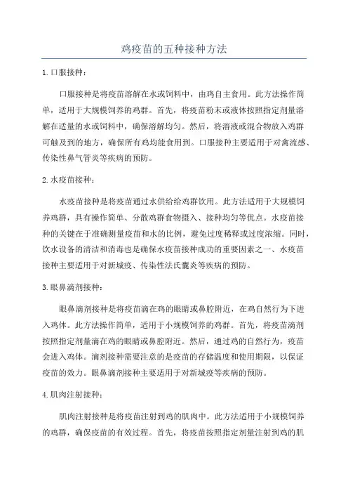 鸡疫苗的五种接种方法