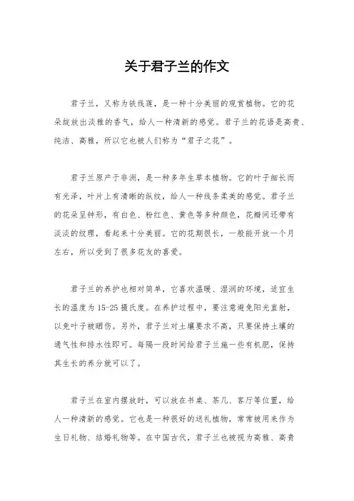 关于君子兰的作文