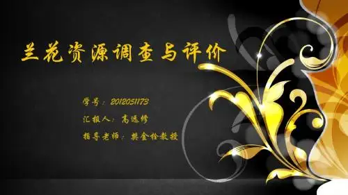 兰花的调查与研究ppt