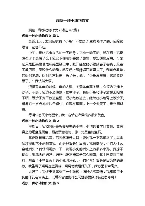 观察一种小动物作文（精选47篇）