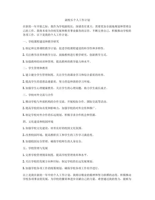 副校长个人工作计划