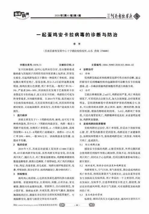 一起蛋鸡安卡拉病毒的诊断与防治