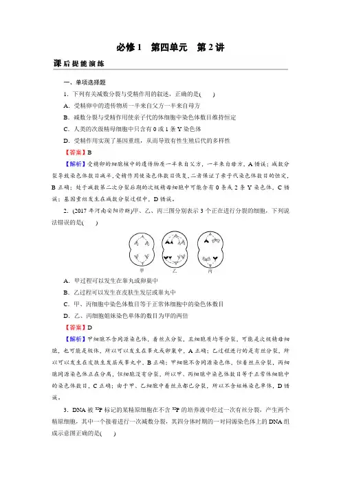 高考生物一轮复习基础夯实练必修1 第4单元 第2讲 课后