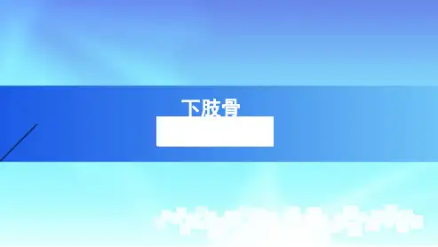 下肢骨人体解剖学