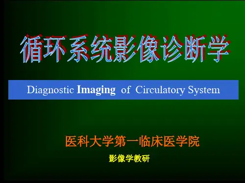 心脏大血管影像检查方法(讲义)