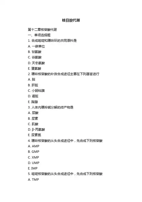 核苷酸代谢