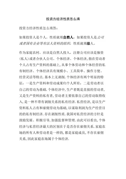 投资方经济性质怎么填