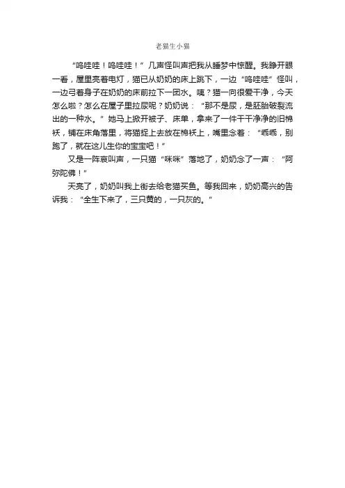 作文：老猫生小猫