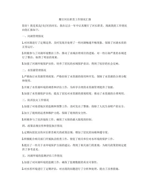 履行河长职责工作情况汇报