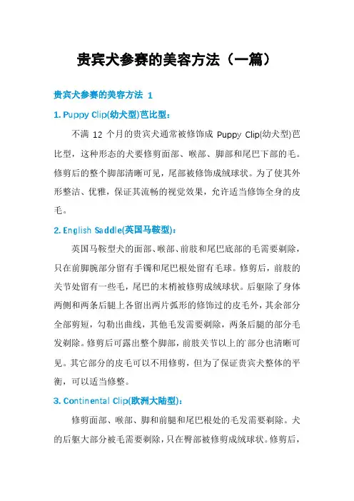 贵宾犬参赛的美容方法(一篇)