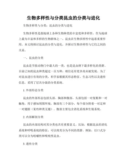 生物多样性与分类昆虫的分类与进化