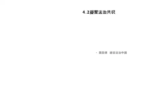人教版九年级道德与法治上册 4.2凝聚法治共识(共33张PPT)
