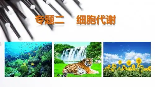 步步高2015高考生物二轮课件：专题2.1代谢中的酶与ATP
