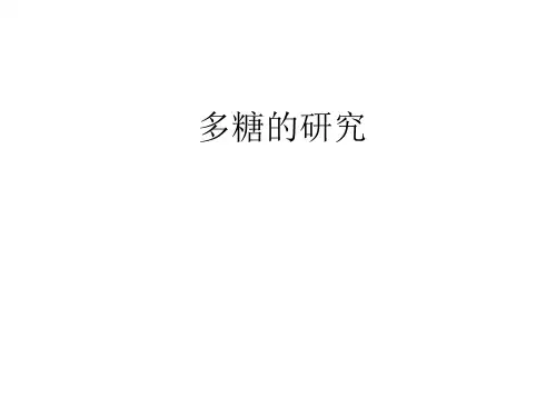 多糖的研究 教学课件