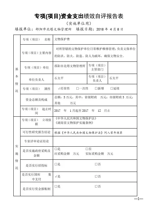 专项项目资金支出绩效自评报告表