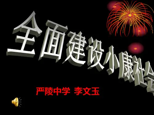 《全面建设小康社会》课件