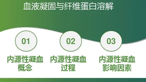 血液生理—血液凝固(正常人体机能课件)