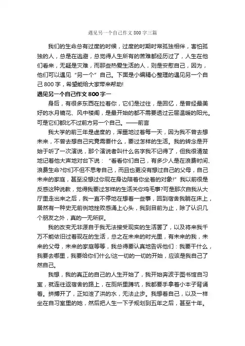 遇见另一个自己作文800字三篇