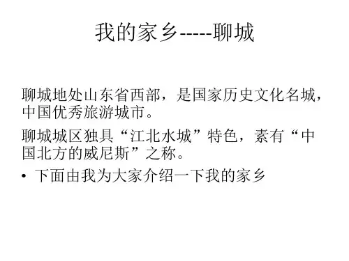聊城介绍