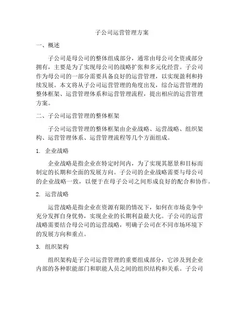 子公司运营管理方案