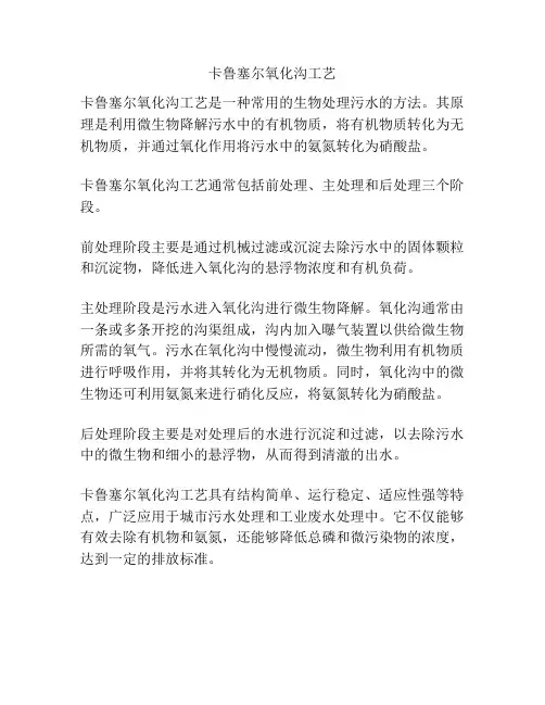 卡鲁塞尔氧化沟工艺