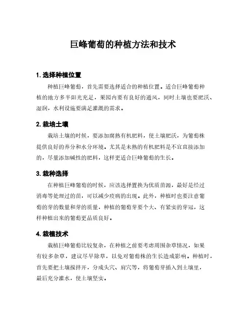 巨峰葡萄的种植方法和技术