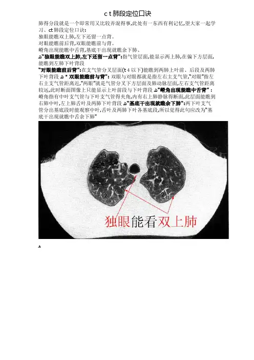 CT肺的分叶分段