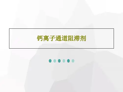 钙离子通道阻滞剂共26页