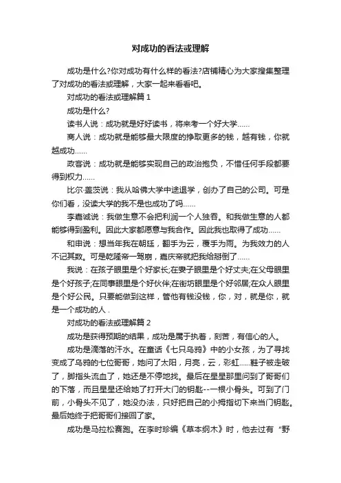 对成功的看法或理解