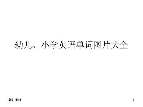 幼儿园少儿英语单词学习卡片大全