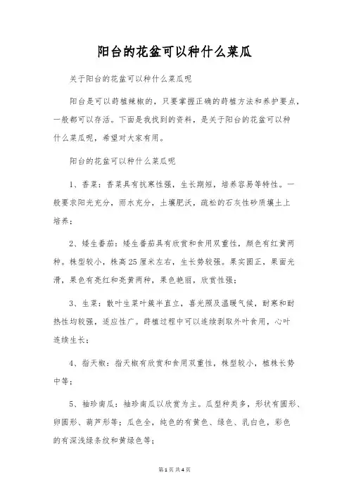 阳台的花盆可以种什么菜瓜