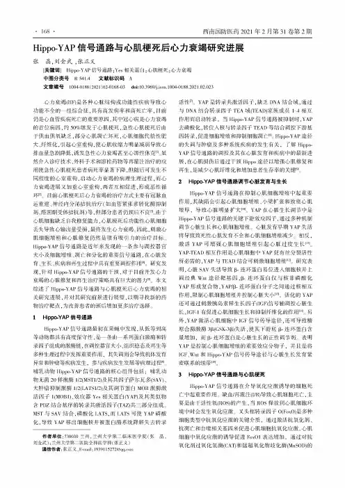 Hippo-YAP信号通路与心肌梗死后心力衰竭研究进展