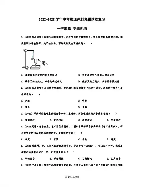 2022-2023学年中考物理冲刺真题复习—声现象 专题训练(含解析)