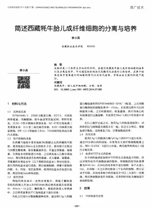 简述西藏牦牛胎儿成纤维细胞的分离与培养