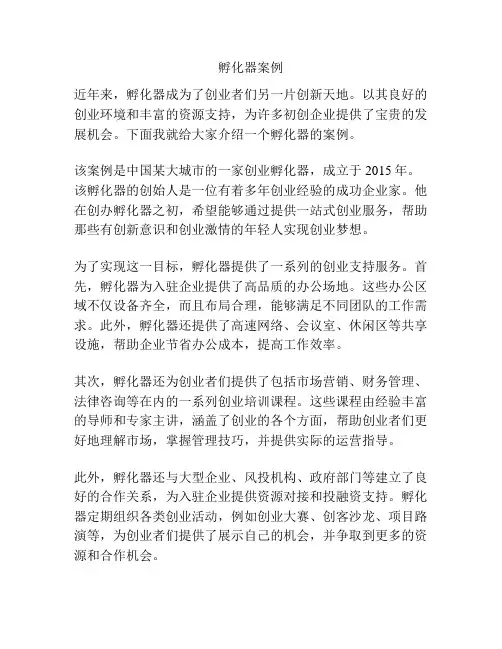 孵化器案例