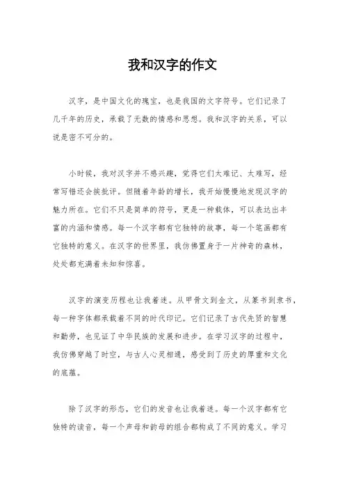 我和汉字的作文