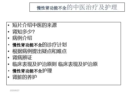 肾病的中医治疗及护理