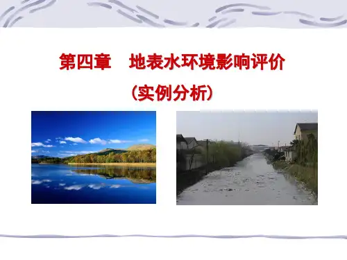 地表水环境影响评价实例