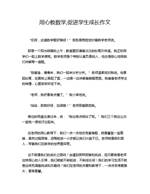 用心教数学,促进学生成长作文