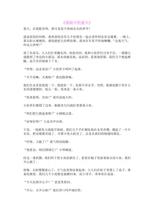 《我眼中的夏天》
