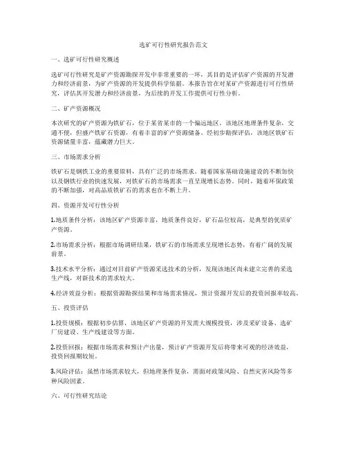 选矿可行性研究报告范文