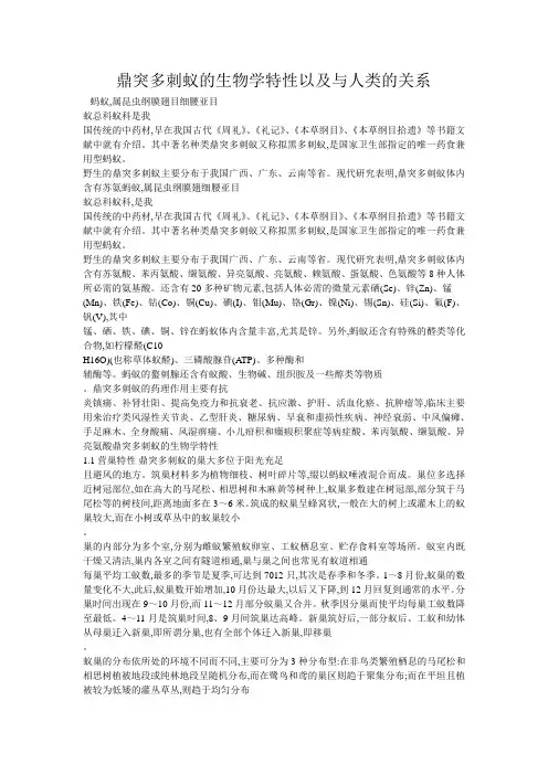 蚂蚁
