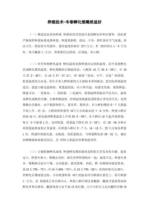 养殖技术-冬春孵化雏鹅效益好