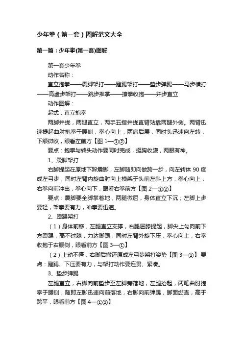 少年拳（第一套）图解范文大全